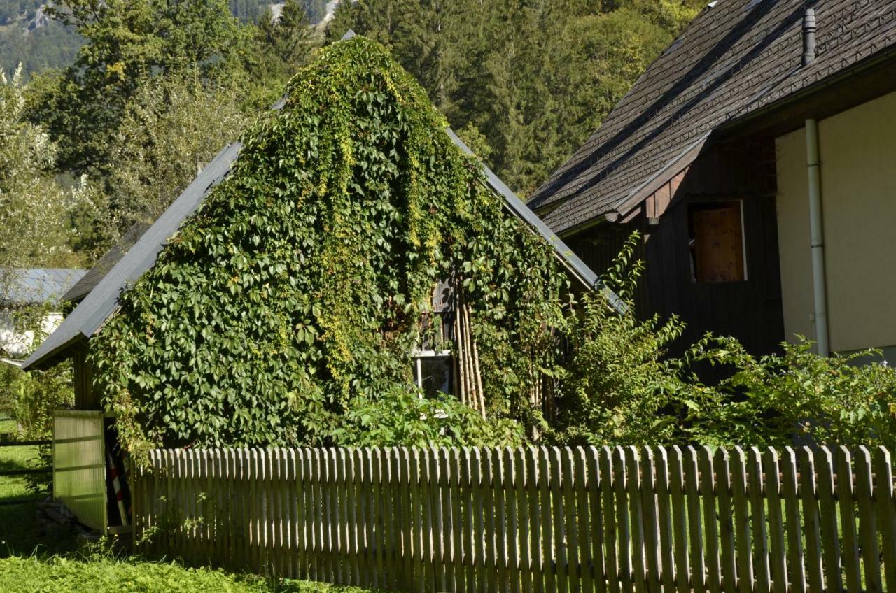 Haus Rosina Admont Exterior foto